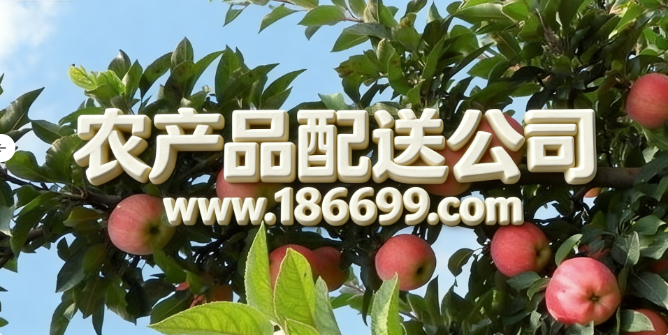 全球蘋果種植面積和產(chǎn)量最多的國家是哪里?