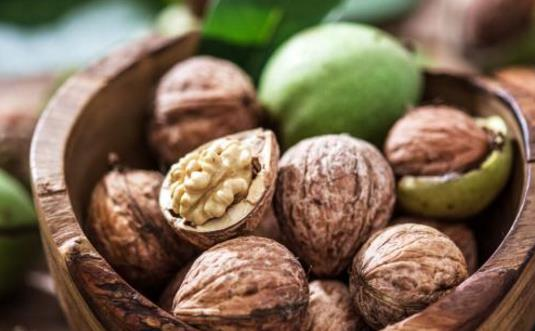 為什么核桃被稱為“長壽果”?東莞生鮮食材配送中心告訴你