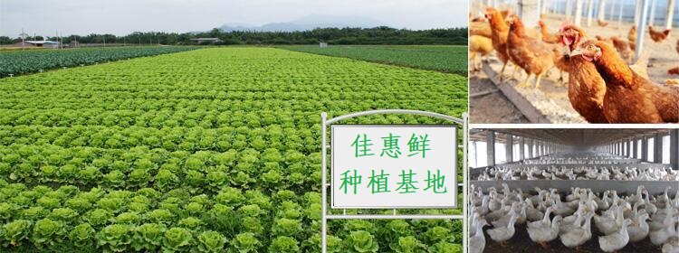 1760975239.jpg shucaizhongzhi.jpg