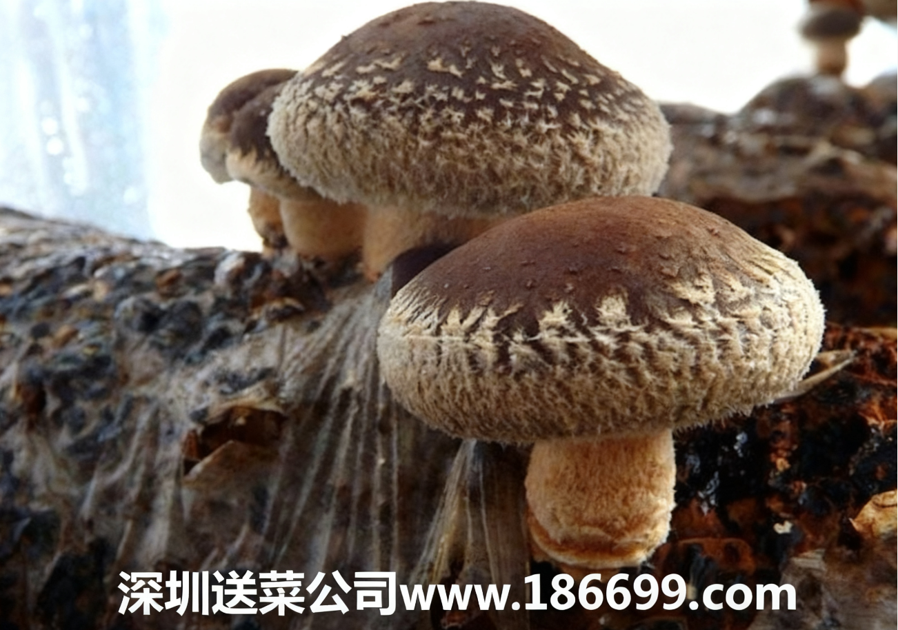 1764517049.png 微信圖片_20251130233538_153_9.png