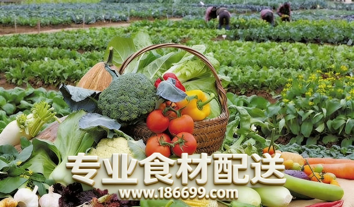 惠州食材供應鏈為您普及：冬季夏季的蔬菜營養有什么差別？