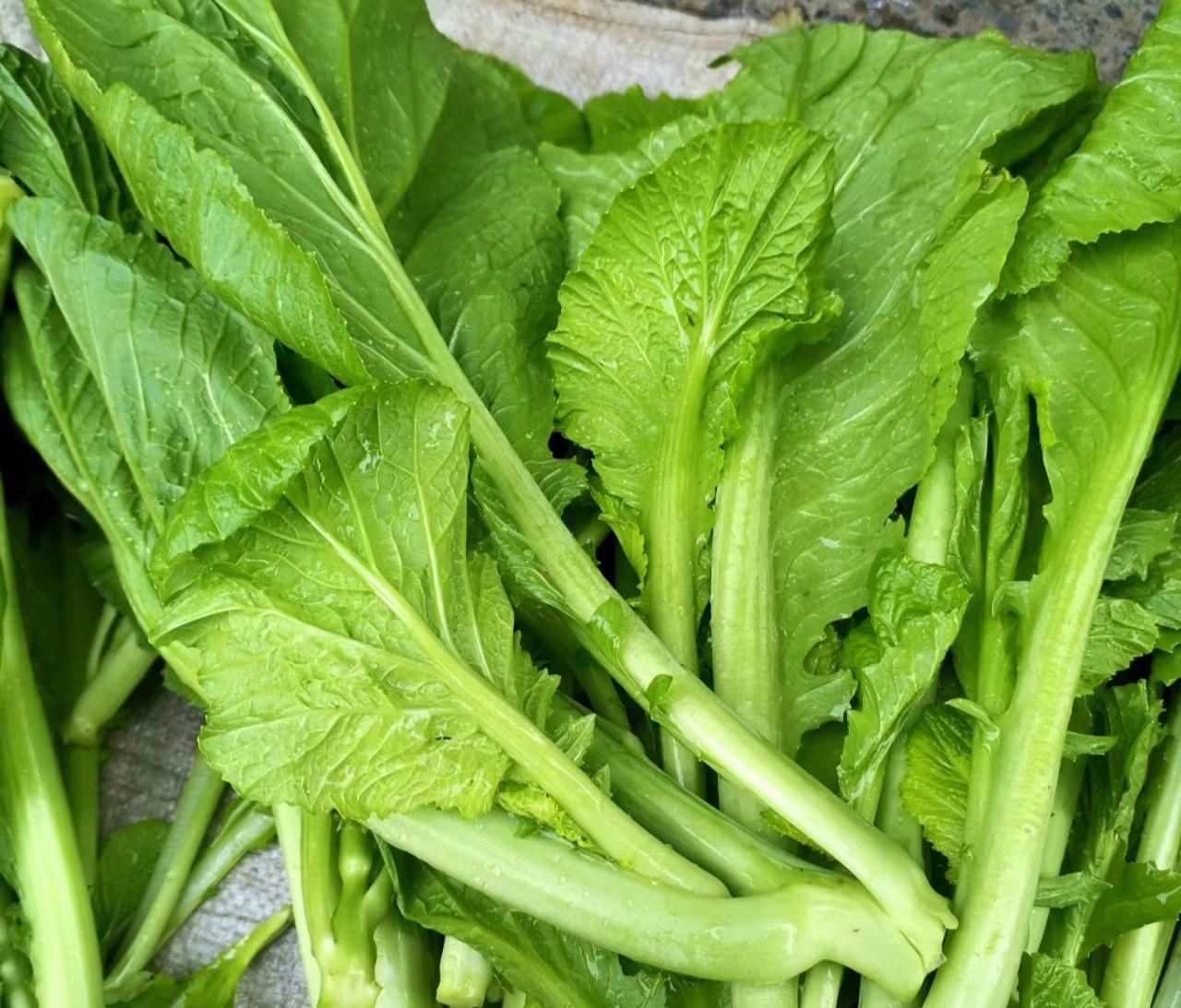 深圳蔬菜配送公司科普：為什么冷凍蔬菜不宜反復(fù)解凍冷凍？