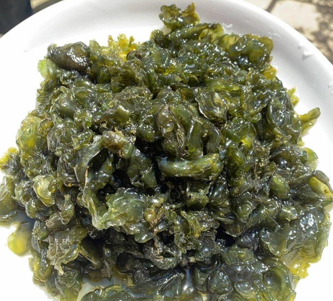 地皮菜:雨后才有的特產,吃的是山野的饋贈